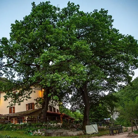 Le Due Querce Farm stay *