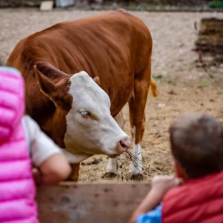 Le Due Querce Cerreto di Spoleto
