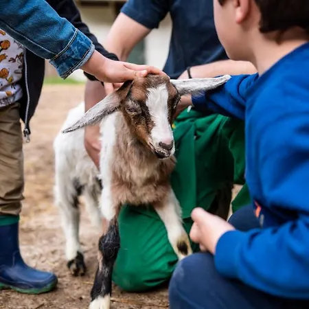 Farm stay Le Due Querce Cerreto di Spoleto