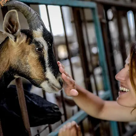 Le Due Querce Farm stay