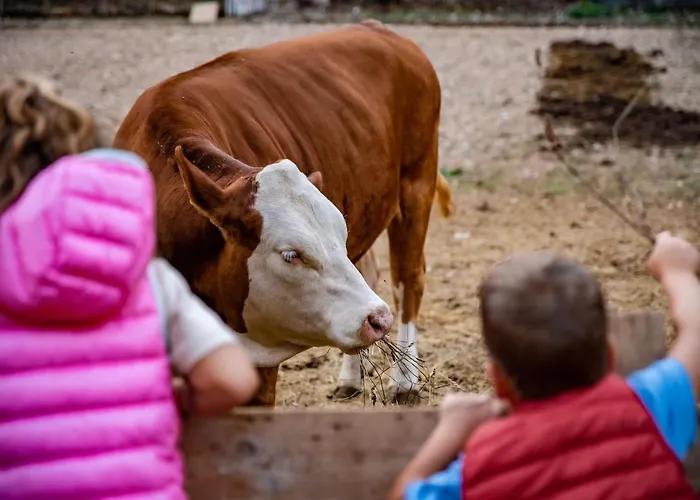 Le Due Querce Cerreto di Spoleto