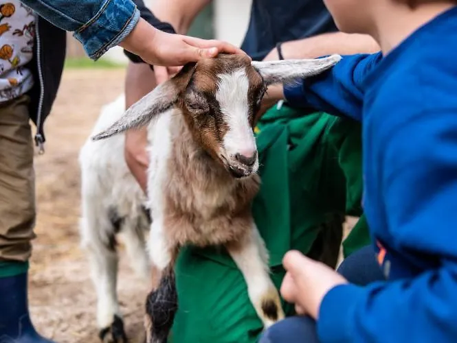 Farm stay Le Due Querce Cerreto di Spoleto