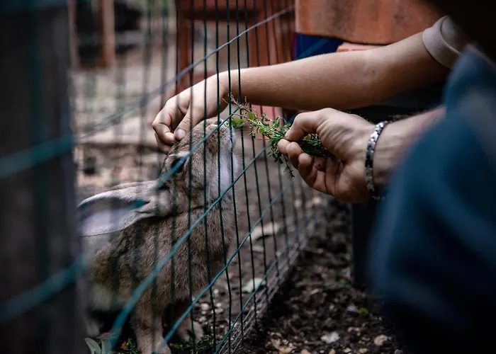 Le Due Querce * Cerreto di Spoleto